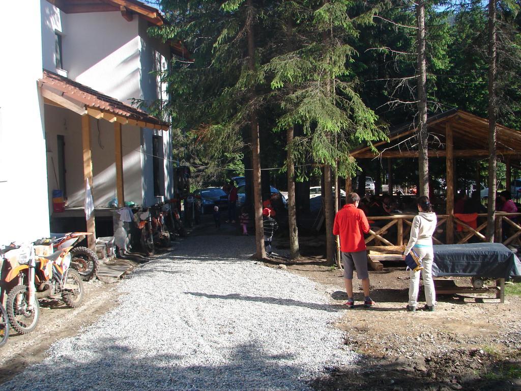 Complex Transalpina Lac Voineasa Extérieur photo