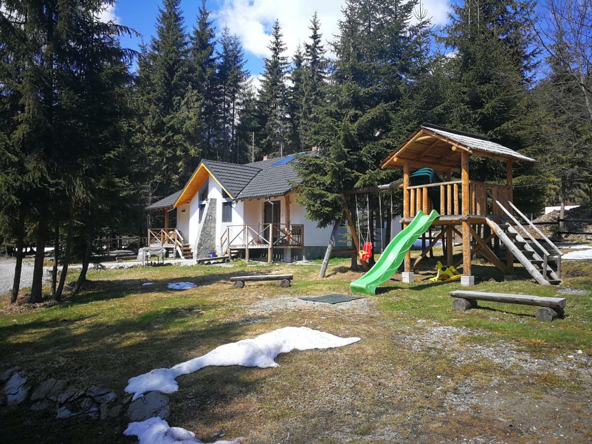 Complex Transalpina Lac Voineasa Extérieur photo
